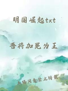 明國崛起txt