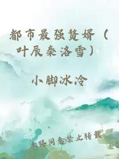 都市最強贅婿（葉辰秦洛雪）