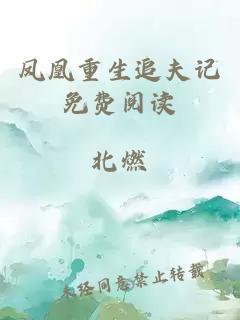 鳳凰重生追夫記免費閱讀