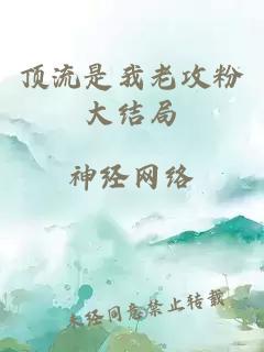 頂流是我老攻粉大結局