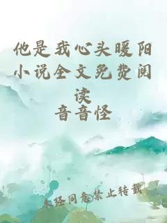 他是我心頭暖陽小說全文免費閱讀