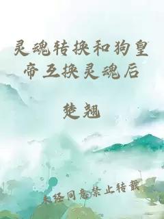 靈魂轉換和狗皇帝互換靈魂后