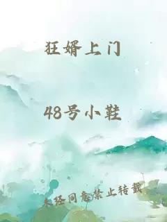 狂婿上門