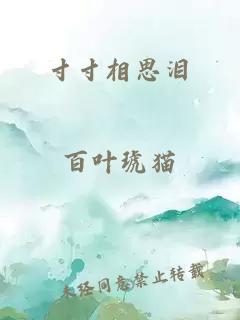寸寸相思淚