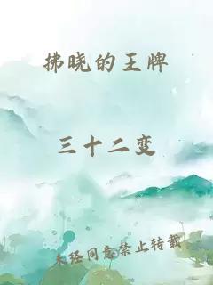 拂曉的王牌