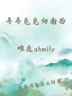 尋尋覓覓向南西
