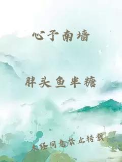 心予南墻