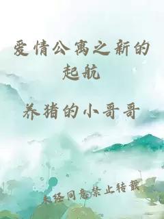 愛情公寓之新的起航
