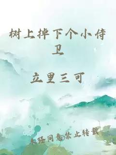 樹上掉下個小侍衛