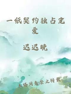 一紙契約獨占寵愛