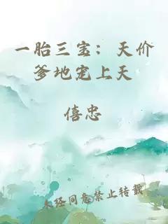 一胎三寶：天價爹地寵上天