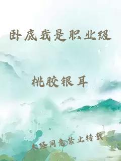 臥底我是職業級