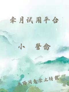 牽月試用平臺