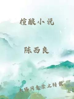 楦釀小說